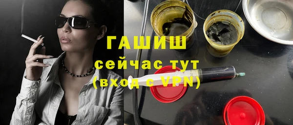 гидра Алексеевка