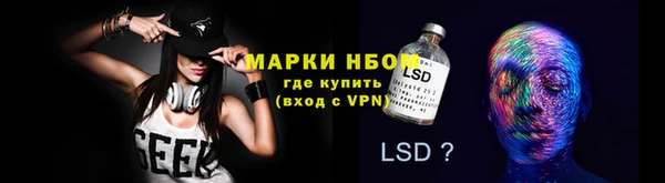 гидра Алексеевка