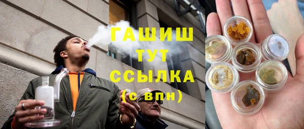 гидра Алексеевка